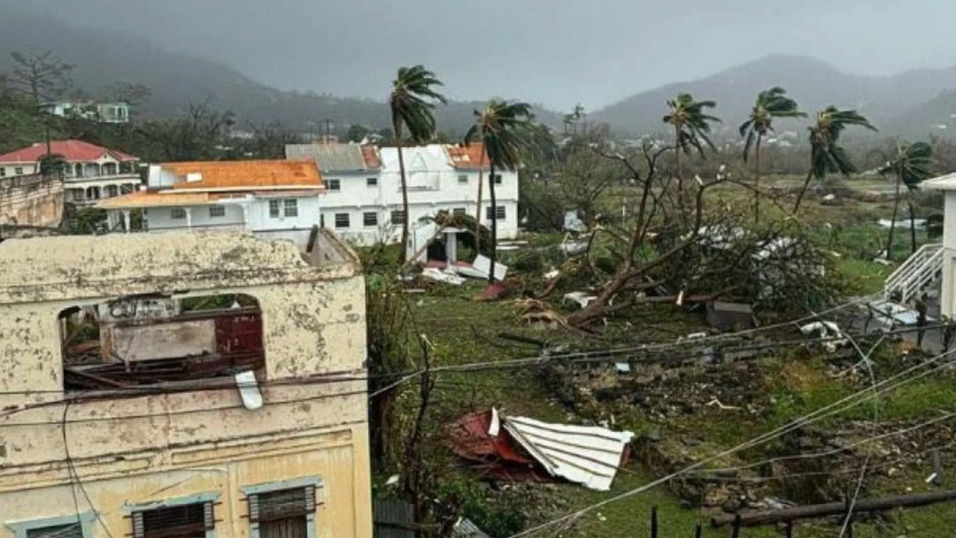 6 Dead as Hurricane Beryl Targets Jamaica; Cruise Ships Rerouting