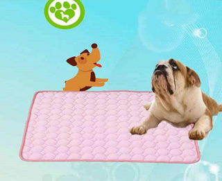 Pet Cooling Mat | Keep Your Dog Cool in Summer