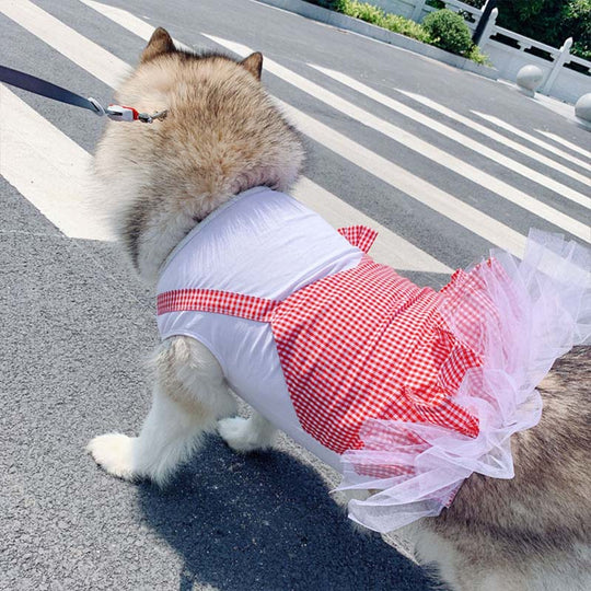 princess dog costume