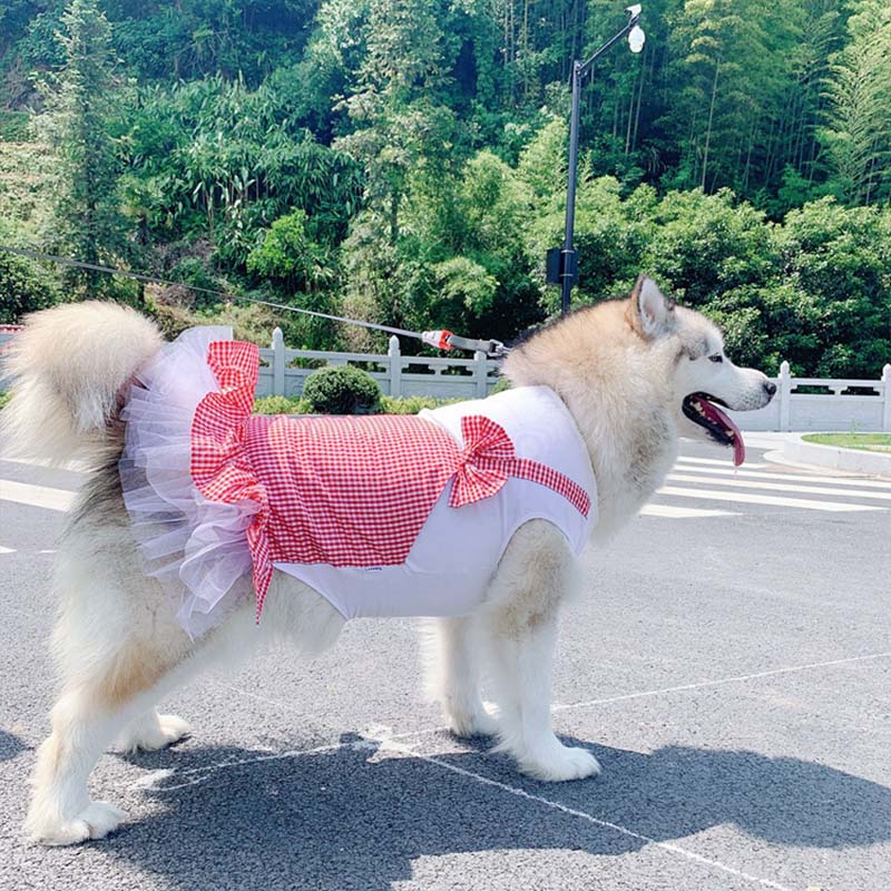 princess dog costume