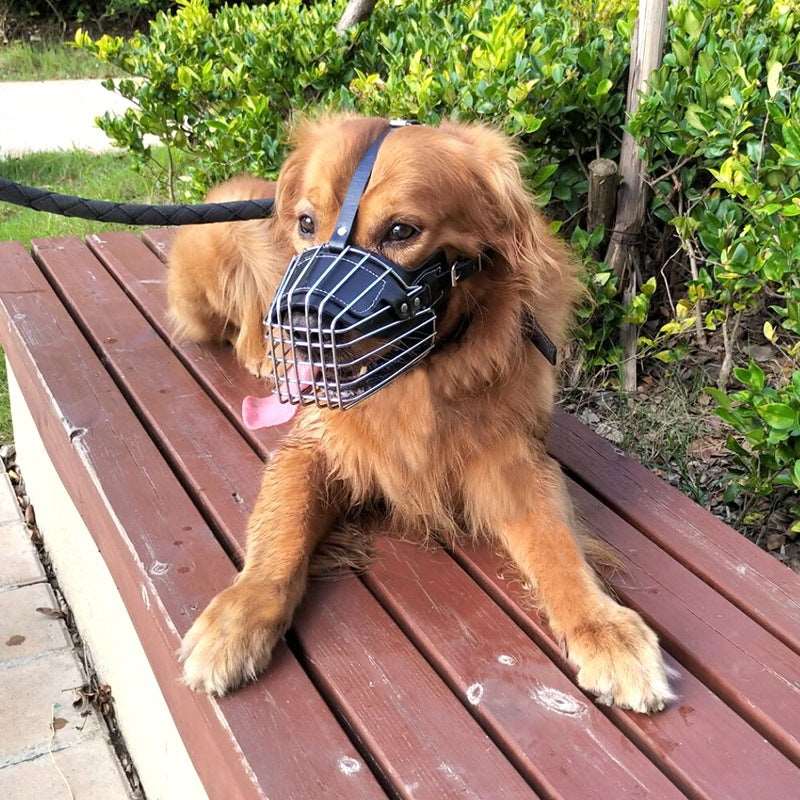 Dog Muzzle