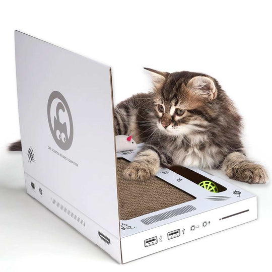 Laptop Cat Scratcher