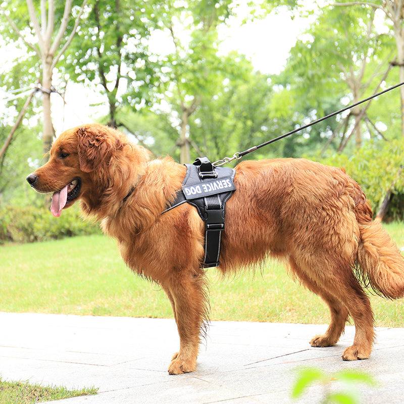 Waterproof Dog Harness