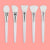 Silicone Facial Mask Brush