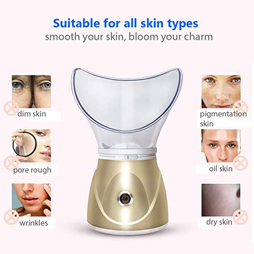 face steaming beauty instrument